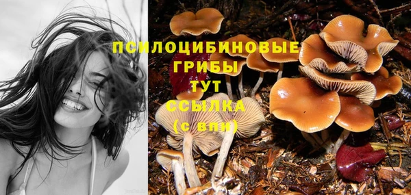 прущая мука Краснослободск