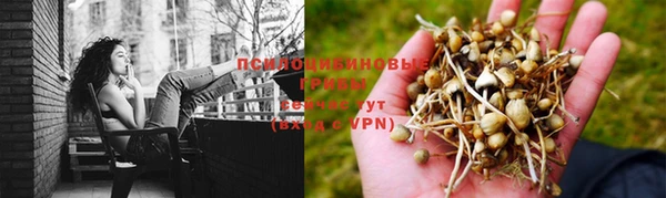 прущая мука Краснослободск