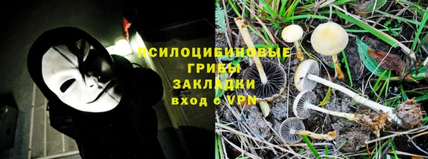 прущая мука Костерёво