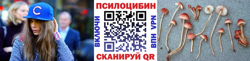 Псилоцибиновые грибы мухоморы  где найти   Калининск 